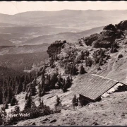 AK Arber, Berghütte, Richard Wagner Kopf, gelaufen 1964