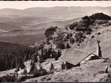 AK Arber, Berghütte, Richard Wagner Kopf, gelaufen 1964