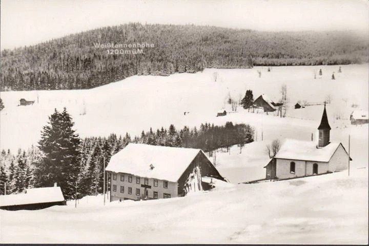 AK Titisee Neustadt, Gasthaus und Pension Heiligbrunnen, ungelaufen