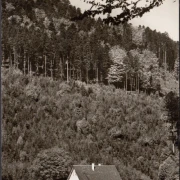 AK Bad Herrenalp, Fremdenheim Haus Frieda, gelaufen 1973
