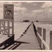 AK St. Peter Ording, Seebrücke, Strandcafe und Restaurant Arche Noah, gelaufen 1960