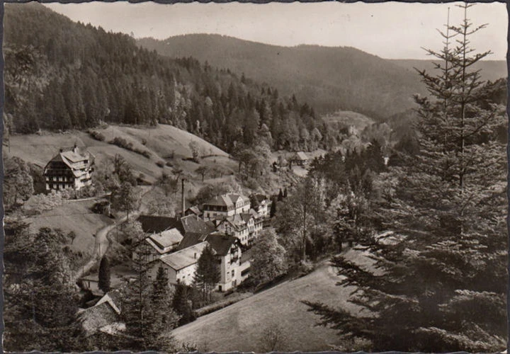 AK Bad Rippoldsau, Ortsansicht, gelaufen 1956