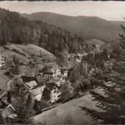 AK Bad Rippoldsau, Ortsansicht, gelaufen 1956