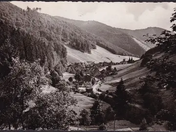 AK Sieber im Harz, Goldemke, gelaufen 1955