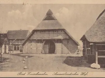 AK Bad Zwischenahn, Ammerländisches Hof, gelaufen 1920