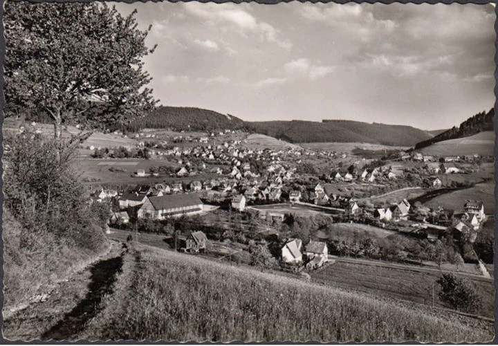 AK Baiersbronn, Stadtansicht, Schwarzwaldhalle, gelaufen 1956