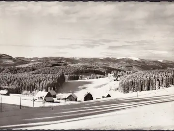 AK Schwärzenbach, Pension Feldbergblick, Panoramaansicht im Winter, gelaufen 197?