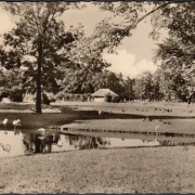 AK Berlin, Tierpark Berlin, Blick auf die Stelzvogelwiese, gelaufen 1962