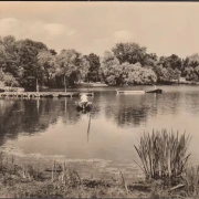 AK Berlin, Der Weiße See, Ruderboot, gelaufen 1968