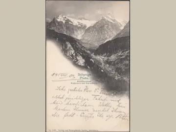 AK Bern, Schynige Platte, Grindelwaldtal, Schreckhorn, gelaufen 1903