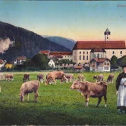 AK Beuron, Klosterkirche, Klosterbruder mit Kühe, gelaufen 1914