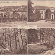 AK Bad Buckow, Poetenstein, Schloss, Silberkehle, ungelaufen