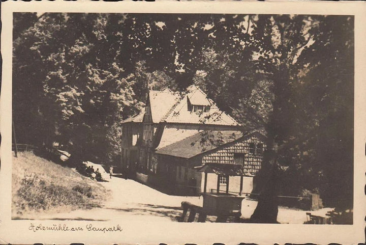 AK Springe, Holzmühle am Saupark, Inhaber H. Daeves, gelaufen 1937