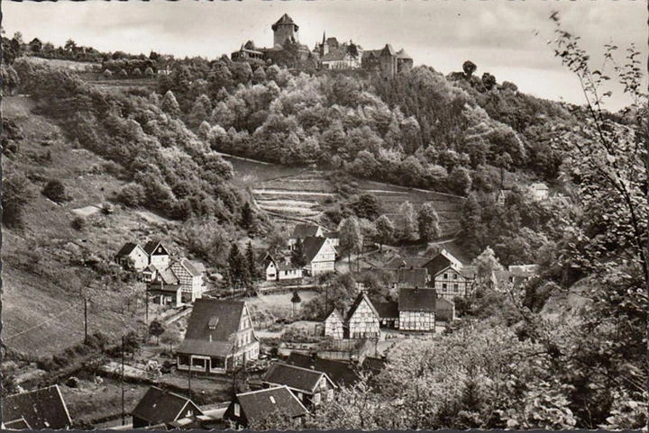 AK Burg an der Wupper, Stadtansicht mit Schloss, ungelaufen