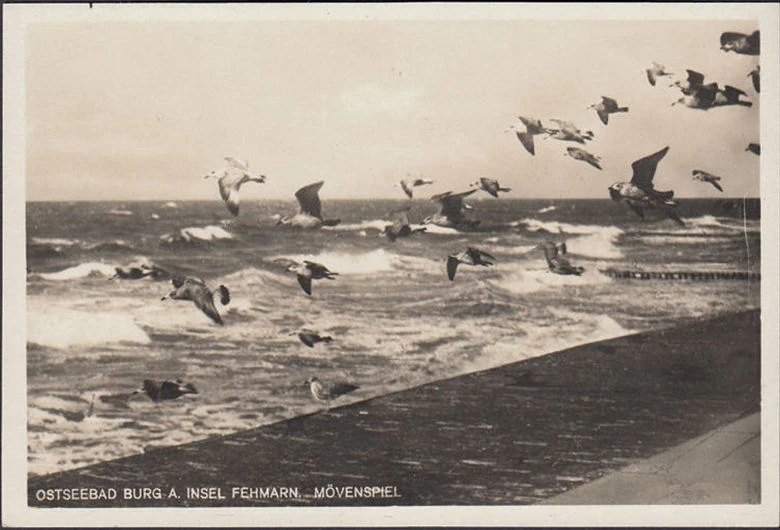 AK Burg auf Fehmarn, Mövenspiel, Friedrich Evers, Gasthaus und Pension, ungelaufen