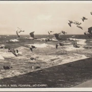 AK Burg auf Fehmarn, Mövenspiel, Friedrich Evers, Gasthaus und Pension, ungelaufen