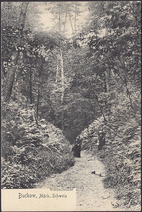 AK Buckow, Wolfsschlucht, gelaufen 1911