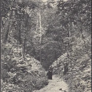 AK Buckow, Wolfsschlucht, gelaufen 1911