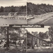 AK Dessau, Strandbad Adria, Strandansichten, gelaufen 1975