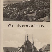 AK Tanne im Harz, Rathaus, Stadtansicht, gelaufen 1955