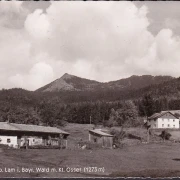 AK Lohberg, Ortsansicht mit kleinem Osser, gelaufen 1961