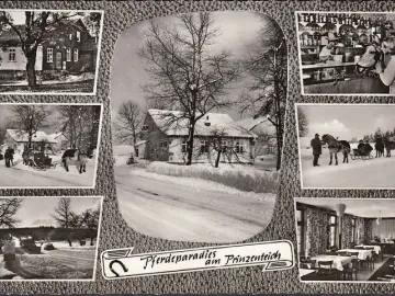 AK Buntenbock, Harz Ziegenhütte, Pony Gasthof Prinzenteich, ungelaufen