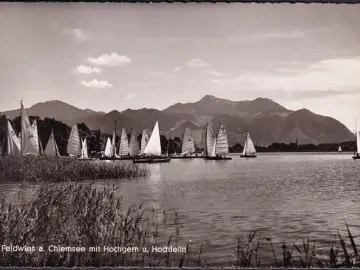 AK Feldwies, Segelboote, Hochgern, Hochfelln, gelaufen 1955