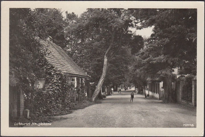 AK Neuglobsow, Straßenansicht, Allee, ungelaufen