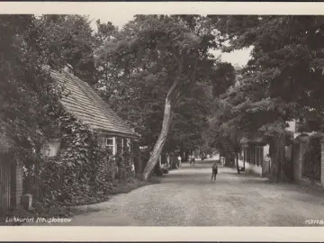 AK Neuglobsow, Straßenansicht, Allee, ungelaufen