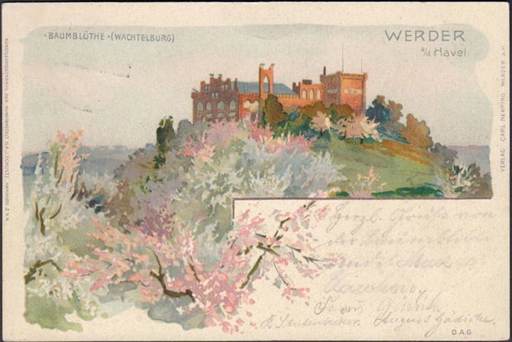 AK Werder, Baumblüte Wachtelburg, Litho, gelaufen 1904