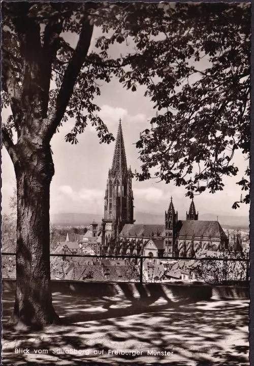 AK Freiburg, Blick vom Schloßberg auf den Münster, ungelaufen