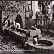 AK Schwalenberg, Volkwinbrunnen, Gasthof Künstlerklause, ungelaufen