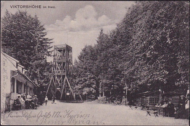 AK Friedrichsbrunn, Viktorshöhe, Aussichtsturm, gelaufen 19??