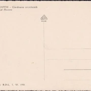 AK Gardasee, Am regnerischen Olivenhain, ungelaufen