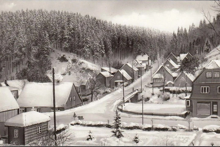 AK Tanne (Harz), Waldstraße im Winter, ungelaufen