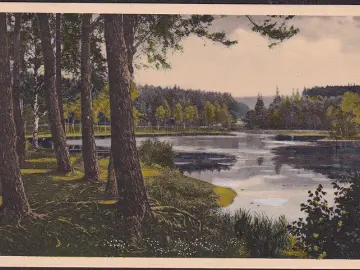 AK Gernrode, Am neuen Teich, ungelaufen