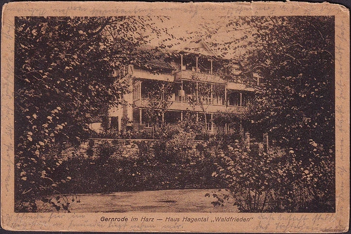 AK Gernrode, Haus Hagental, Waldfrieden, gelaufen 1925