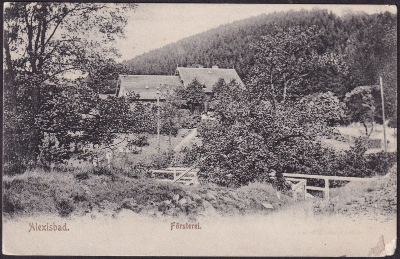 AK Alexisbad, Försterei, gelaufen 1906