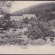 AK Alexisbad, Försterei, gelaufen 1906