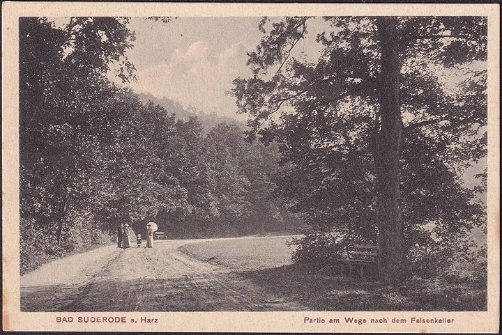 AK Bad Suderode, Partie am Wege nach dem Felsenkeller, ungelaufen-datiert 1915