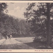 AK Bad Suderode, Partie am Wege nach dem Felsenkeller, ungelaufen-datiert 1915