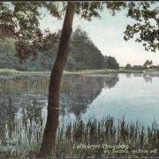 AK Rheinsberg, Am Seesteig mit Blick auf Rheinsberg, gelaufen 1906