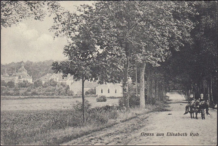 AK Gruss aus Elisabeth Ruh, Allee, Esel mit Wagen, Ortsansicht, gelaufen 1910