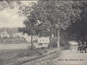 AK Gruss aus Elisabeth Ruh, Allee, Esel mit Wagen, Ortsansicht, gelaufen 1910