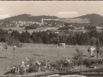 AK Untergriesheim, Stadtansicht, Kirche, ungelaufen