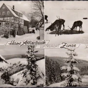 AK Zinse, Haus Afflerbach, Wildtierfütterung Forsthaus Ihrige, Bergtal, gelaufen 1959