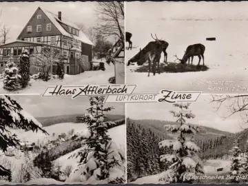 AK Zinse, Haus Afflerbach, Wildtierfütterung Forsthaus Ihrige, Bergtal, gelaufen 1959