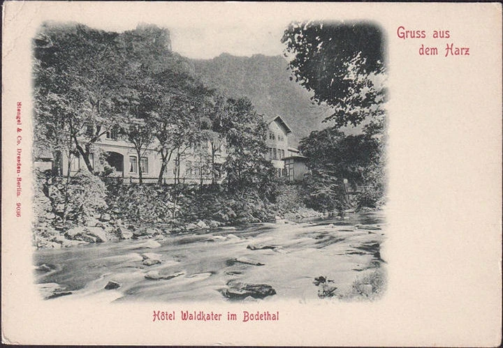 AK Gruss aus dem Harz, Hotel Waldkater, ungelaufen