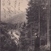 AK Traseburg, Blick ins Bodetal, gelaufen 1911