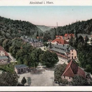 AK Alexisbad, Stadtansicht, gelaufen 1907